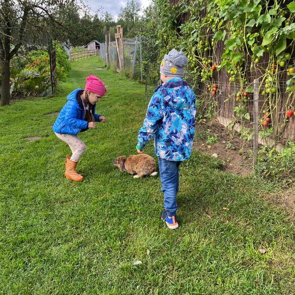 Ekskursija uz mini Zoo "Mežziņi"