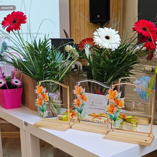 Dizaina un tehnoloģiju konkurss