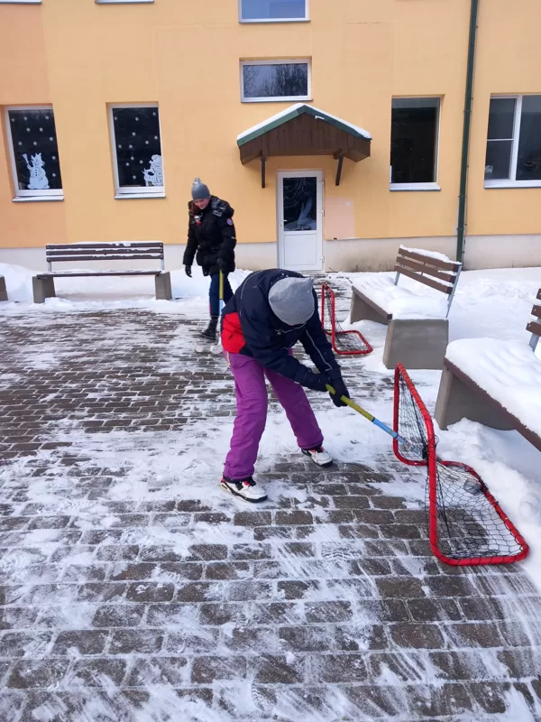 Sniega diena